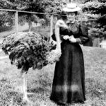 1900cir - Mary Elitch and her Ostrich - zoological gardens