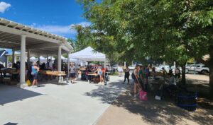 Denver Public Library Friends Foundation - Used Book Sale at Historic Elitch Theatre. 2023